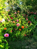 IMG-20190811-WA0070.jpg
