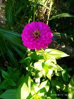 IMG-20190811-WA0068.jpg
