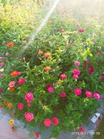 IMG-20190811-WA0067.jpg
