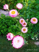 IMG-20190811-WA0069.jpg