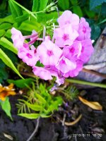 IMG-20190811-WA0062.jpg