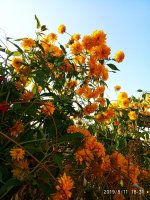 IMG-20190811-WA0057.jpg