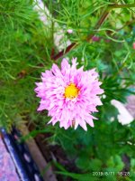 IMG-20190811-WA0056.jpg
