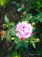 IMG-20190811-WA0049.jpg