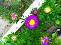 IMG-20190811-WA0043.jpg
