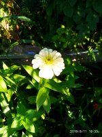 IMG-20190811-WA0039.jpg