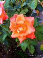 IMG-20190811-WA0037.jpg