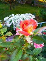 IMG-20190811-WA0036.jpg