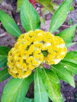 IMG-20190811-WA0034.jpg