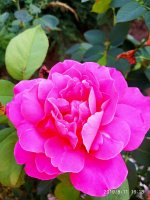 IMG-20190811-WA0029.jpg