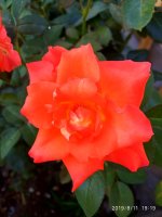 IMG-20190811-WA0026.jpg