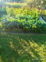IMG-20190811-WA0084.jpg