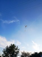 IMG-20190811-WA0102.jpg