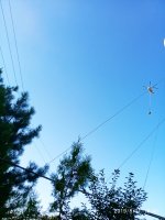 IMG-20190811-WA0099.jpg