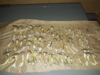 20190812_065855.jpg