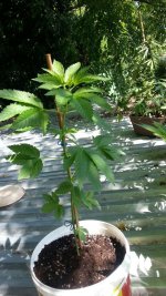 photo_2019-07-26_16-57-20 (2).jpg