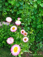 IMG-20190815-WA0017.jpg