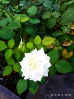 IMG-20190815-WA0014.jpg