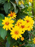 IMG-20190815-WA0013.jpg