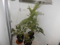 DSCN2930.JPG