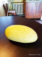 IMG-20190816-WA0001.jpg