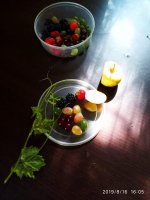 IMG-20190816-WA0004.jpg