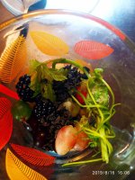 IMG-20190816-WA0002.jpg