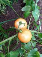 IMG-20190816-WA0026.jpg