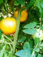IMG-20190816-WA0020.jpg