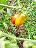 IMG-20190816-WA0016.jpg