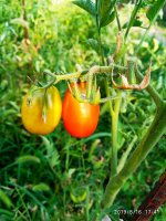 IMG-20190816-WA0011.jpg