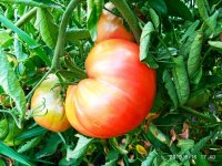 IMG-20190816-WA0008.jpg