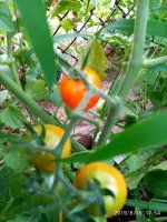 IMG-20190816-WA0005.jpg