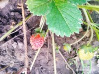IMG-20190816-WA0034.jpg