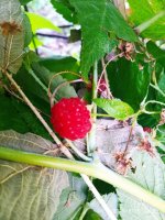 IMG-20190816-WA0031.jpg