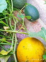 IMG-20190816-WA0030.jpg
