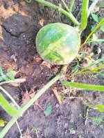 IMG-20190816-WA0028.jpg