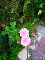 IMG-20190816-WA0069.jpg