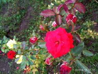 IMG-20190816-WA0065.jpg