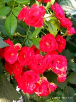 IMG-20190816-WA0064.jpg