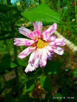 IMG-20190816-WA0059.jpg