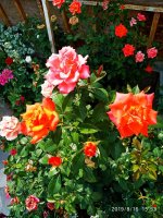 IMG-20190816-WA0058.jpg