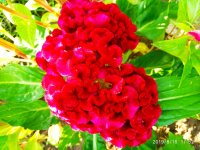 IMG-20190816-WA0056.jpg