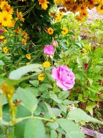 IMG-20190816-WA0048.jpg