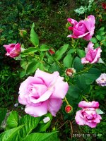 IMG-20190816-WA0047.jpg