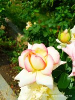 IMG-20190816-WA0043.jpg