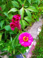IMG-20190816-WA0040.jpg