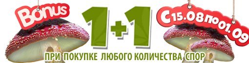 Гриб Банер 1+1 510х130.jpg