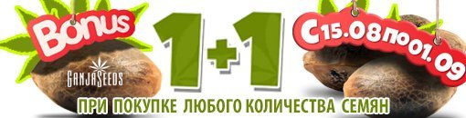 Банер 1+1 510х130.jpg