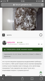 F0A69C1E-4E5B-446E-AAA7-40DB7E3D2CE1.png